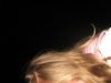 IMG_0509