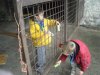 DSCN2507