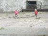 DSCN2524