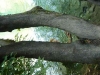 P1050099