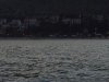 P1050293