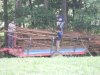 DSCN2009
