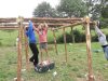 DSCN2020