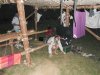 DSCN2204
