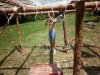 P1010174