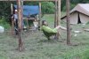 IMG_3716