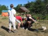 IMG_7817