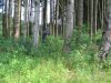 IMG_7852