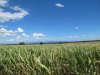 IMG_4513