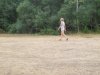 IMG_4676