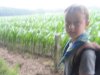 UNADJUSTEDNONRAW_thumb_103d