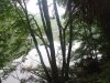 UNADJUSTEDNONRAW_thumb_105a