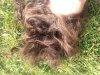 UNADJUSTEDNONRAW_thumb_11d1