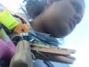 UNADJUSTEDNONRAW_thumb_11e9