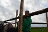 thumb_DSC_0538_1024