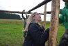 thumb_DSC_0539_1024