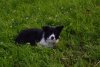 thumb_DSC_0573_1024