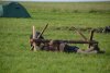 thumb_DSC_0885_1024