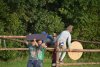 thumb_DSC_0908_1024