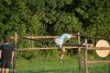 thumb_DSC_0931_1024