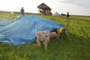 thumb_DSC_0942_1024