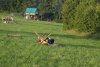 thumb_DSC_0948_1024