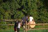 thumb_DSC_0977_1024
