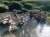 UNADJUSTEDNONRAW_thumb_15a0