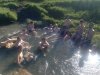 UNADJUSTEDNONRAW_thumb_15a1