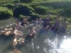 UNADJUSTEDNONRAW_thumb_15a2