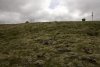 UNADJUSTEDRAW_thumb_165c