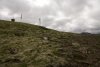 UNADJUSTEDRAW_thumb_165d
