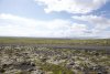 UNADJUSTEDRAW_thumb_16e1