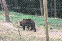 2018 - Camp Castor 