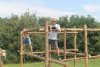 IMG_5111