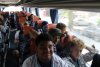 excursion7041