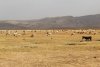 IMG_1758