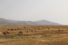 IMG_1760