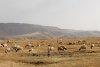 IMG_1761